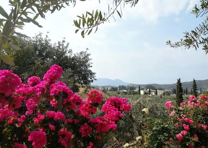 Trizinia View Balcony Galatás